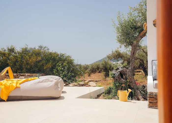 Captain's Art * Artemonas