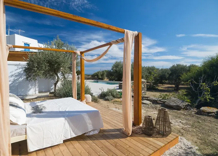 Captain's Art * Artemonas