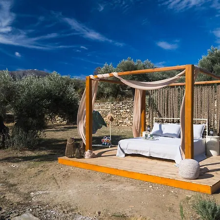 Captain's Art * Artemonas