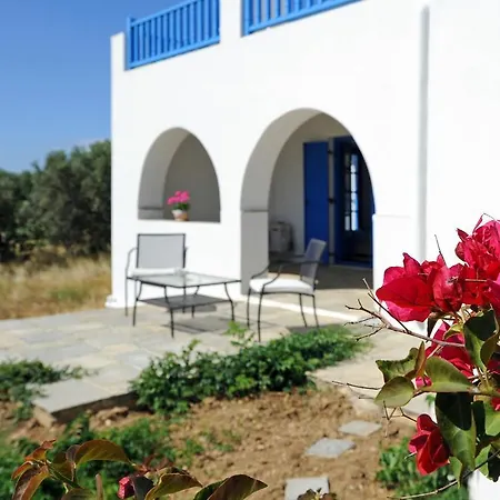 Captain's Art Artemonas